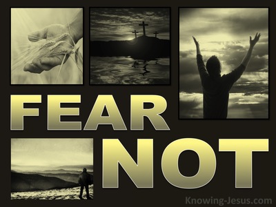 Luke 2:10 The Folly of Fear (devotional)06-30 (gold)
